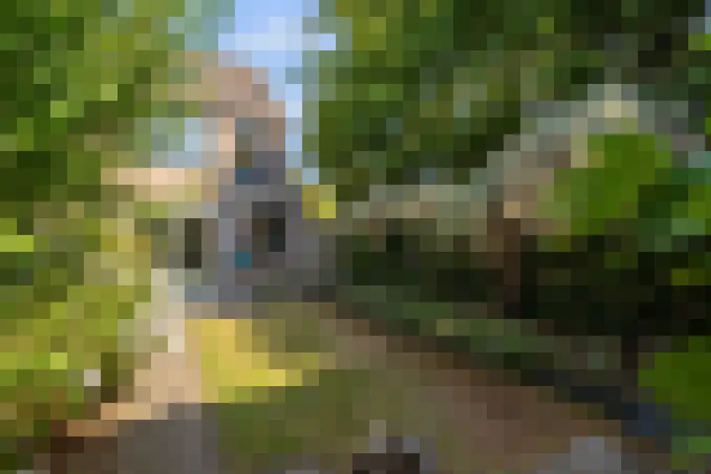 Kraanvogel 5 Breda thumbnail 37