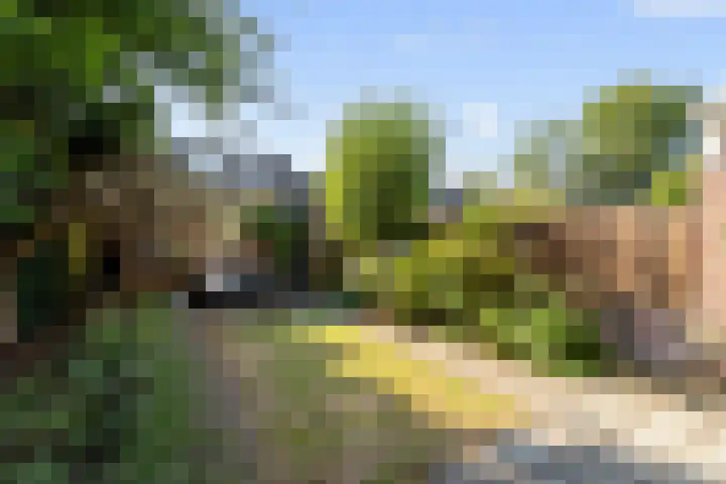 Kraanvogel 5 Breda thumbnail 38