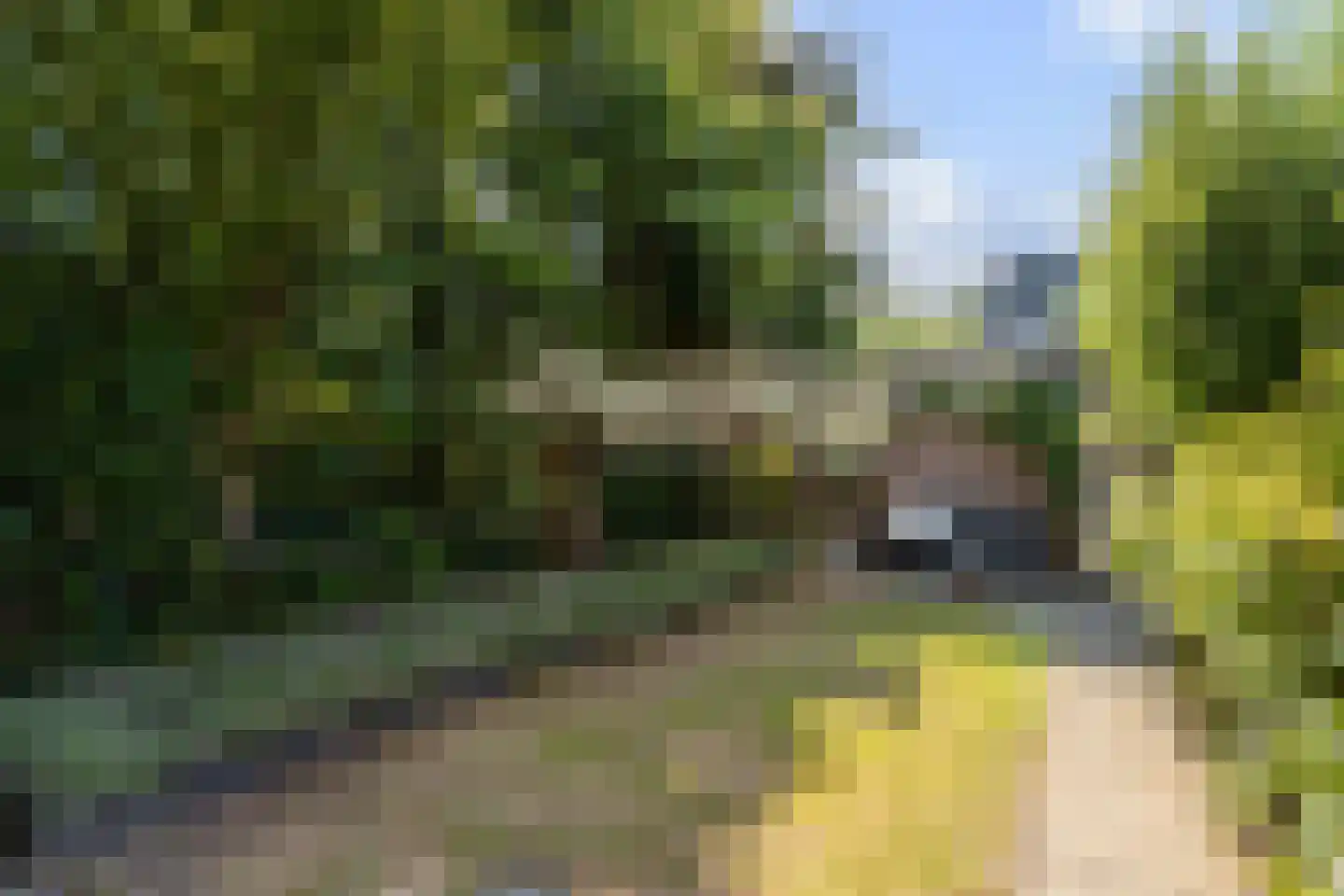 Kraanvogel 5 Breda thumbnail 39