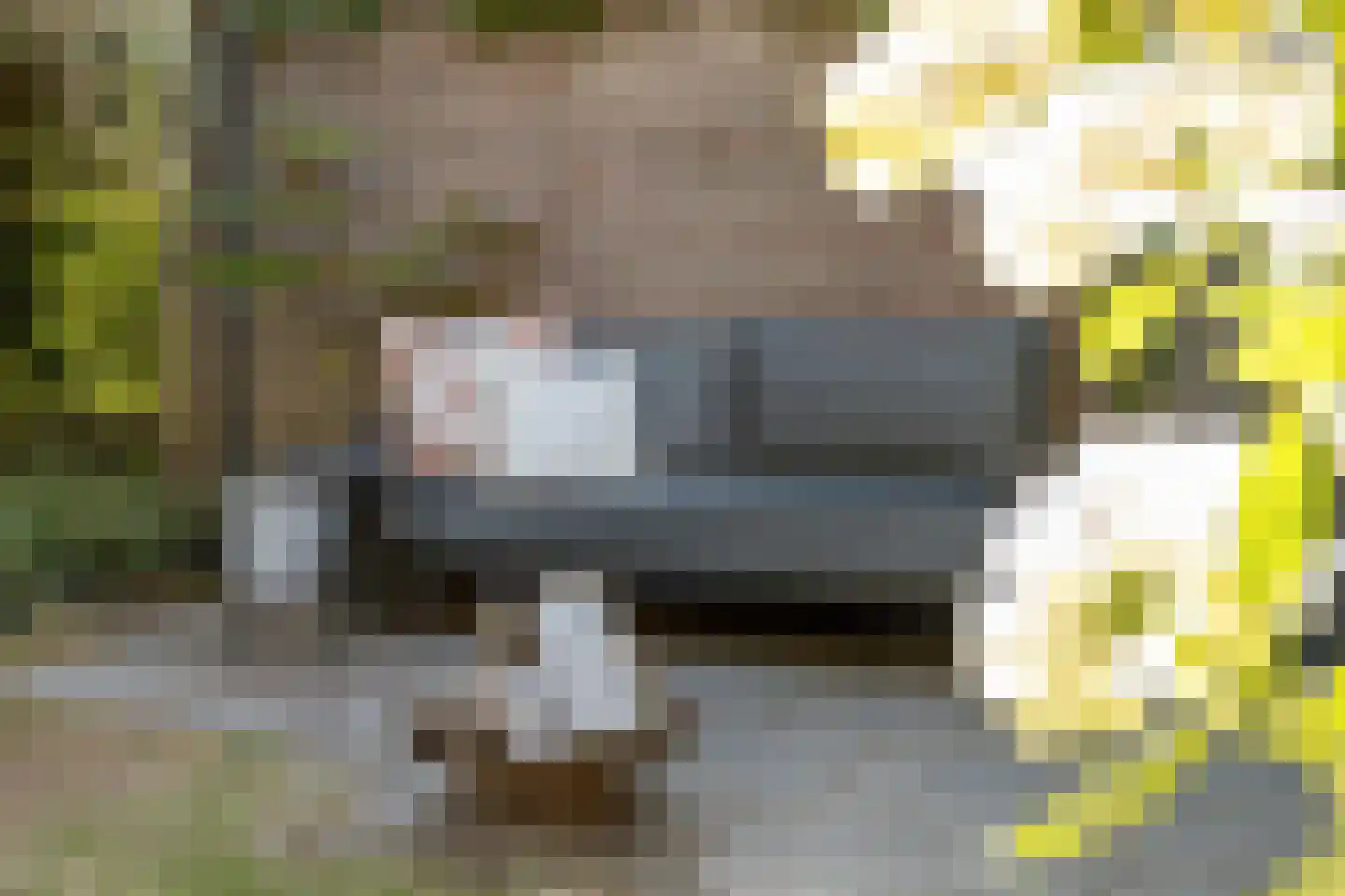 Kraanvogel 5 Breda thumbnail 40