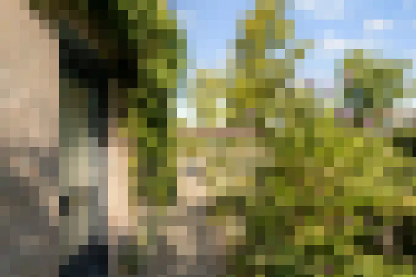 Kraanvogel 5 Breda thumbnail 7