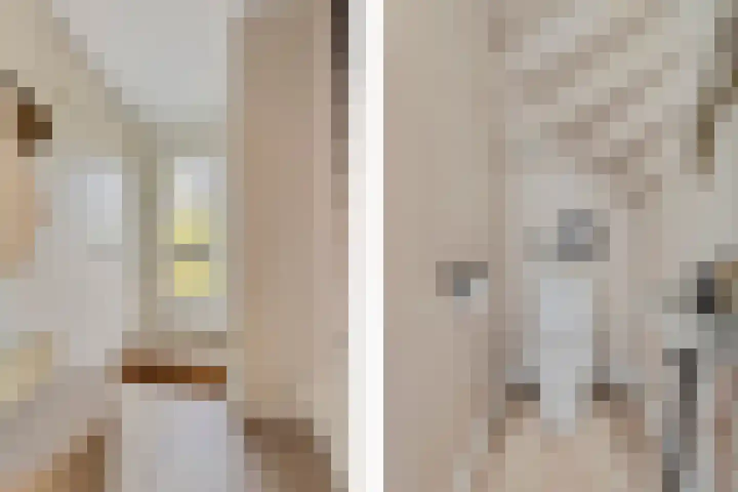 Kraanvogel 5 Breda thumbnail 8