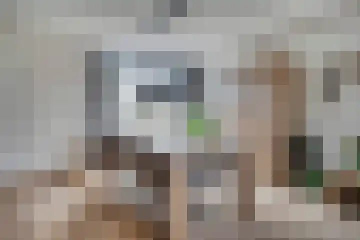 Kraanvogel 68 Etten-Leur thumbnail 10