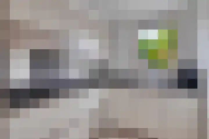 Kraanvogel 68 Etten-Leur thumbnail 11