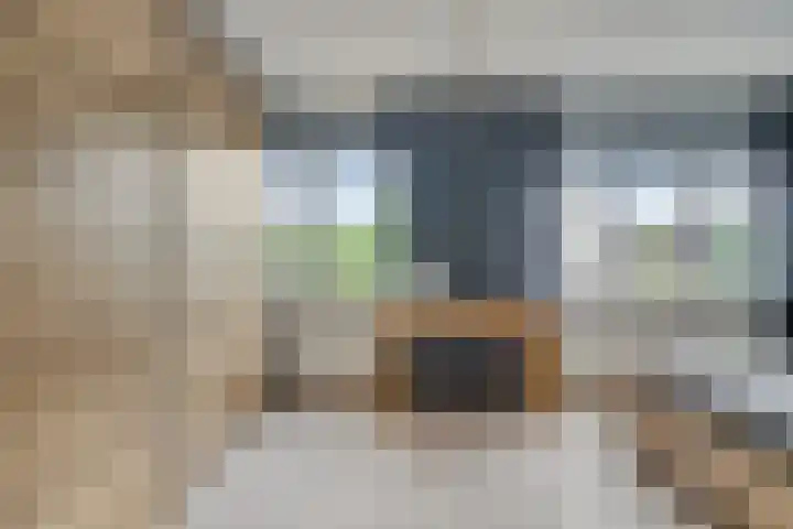 Kraanvogel 68 Etten-Leur thumbnail 16
