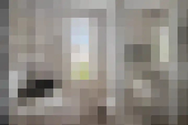Kraanvogel 68 Etten-Leur thumbnail 18