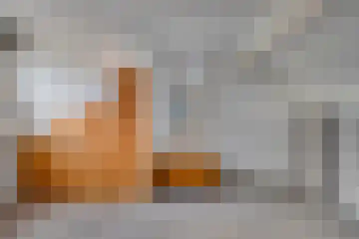 Kraanvogel 68 Etten-Leur thumbnail 24