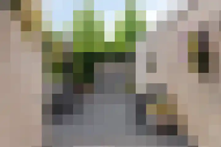 Kraanvogel 68 Etten-Leur thumbnail 27