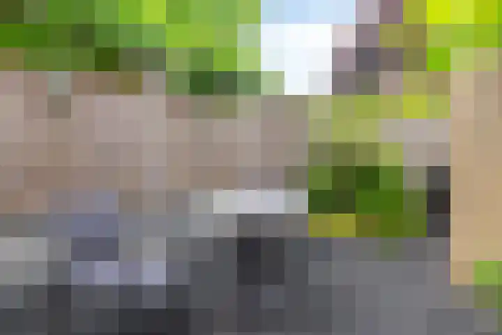 Kraanvogel 68 Etten-Leur thumbnail 28