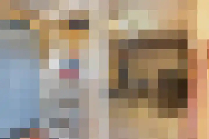 Kraanvogel 68 Etten-Leur thumbnail 31