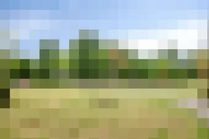 Kraanvogel 68 Etten-Leur thumbnail 35