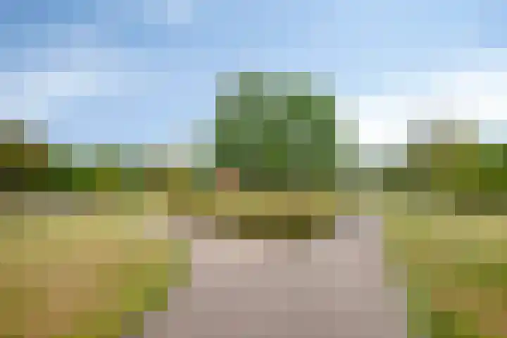 Kraanvogel 68 Etten-Leur thumbnail 36