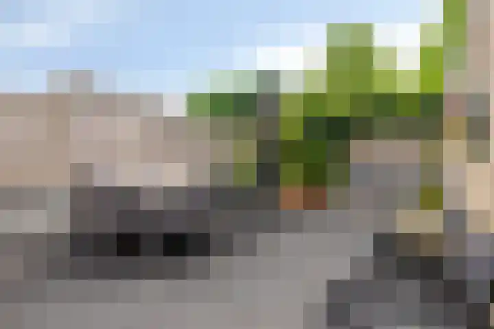 Kraanvogel 68 Etten-Leur thumbnail 4