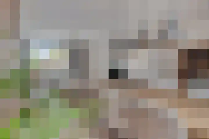Kraanvogel 68 Etten-Leur thumbnail 9
