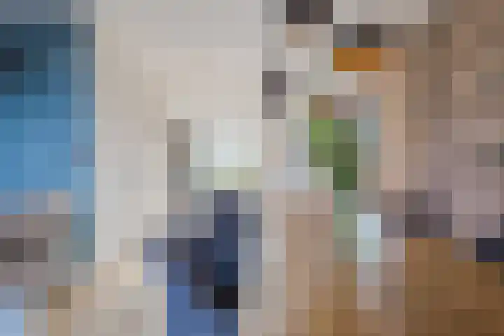 Kraanvogel 8 Terneuzen thumbnail 10