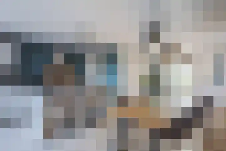 Kraanvogel 8 Terneuzen thumbnail 11