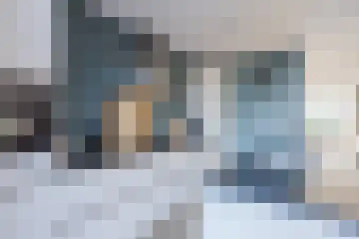 Kraanvogel 8 Terneuzen thumbnail 12