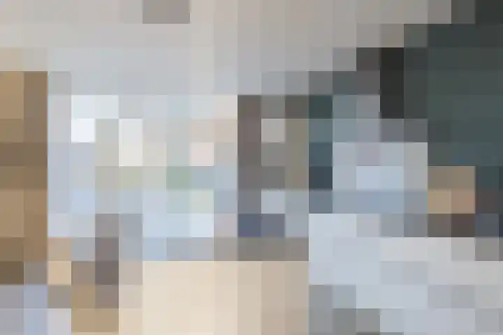 Kraanvogel 8 Terneuzen thumbnail 14