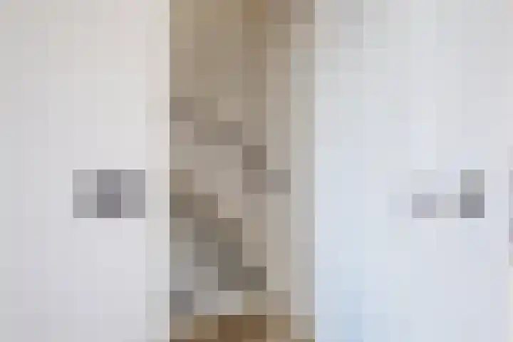 Kraanvogel 8 Terneuzen thumbnail 15