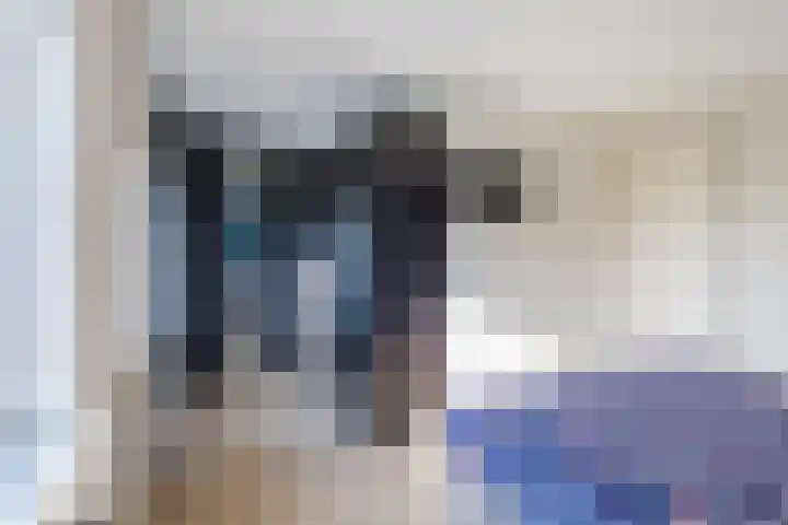 Kraanvogel 8 Terneuzen thumbnail 17