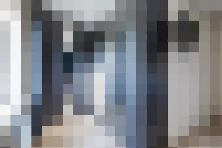 Kraanvogel 8 Terneuzen thumbnail 18