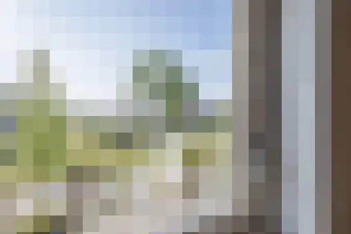 Kraanvogel 8 Terneuzen thumbnail 19