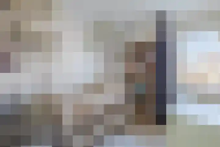 Kraanvogel 8 Terneuzen thumbnail 20