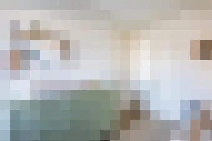 Kraanvogel 8 Terneuzen thumbnail 21