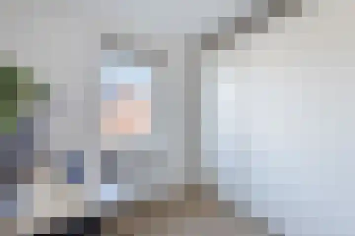 Kraanvogel 8 Terneuzen thumbnail 22