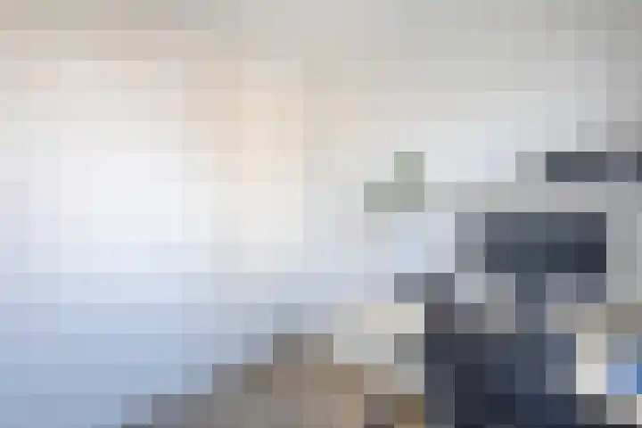 Kraanvogel 8 Terneuzen thumbnail 23