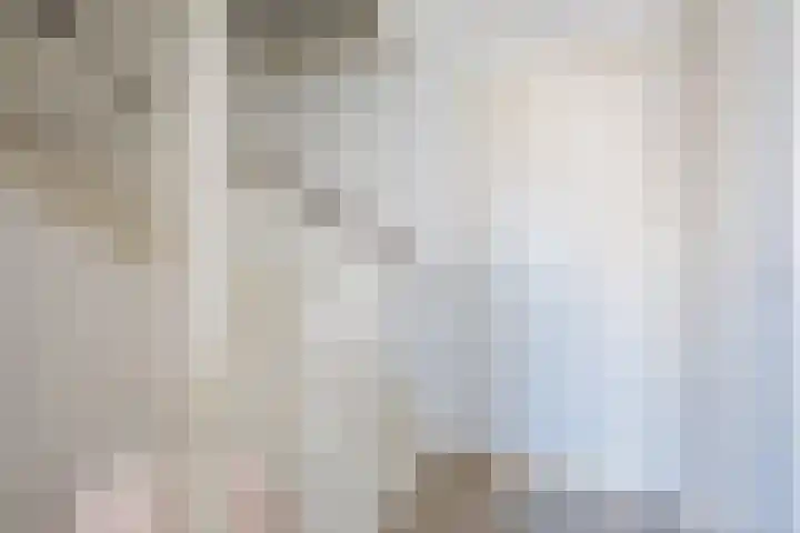 Kraanvogel 8 Terneuzen thumbnail 27