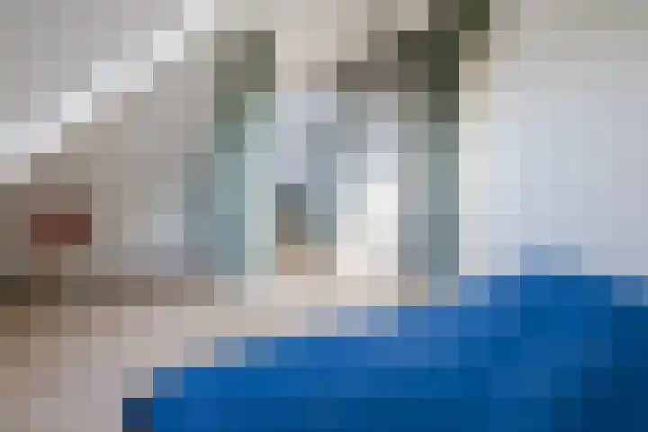 Kraanvogel 8 Terneuzen thumbnail 28