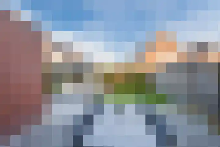 Kraanvogel 8 Terneuzen thumbnail 29