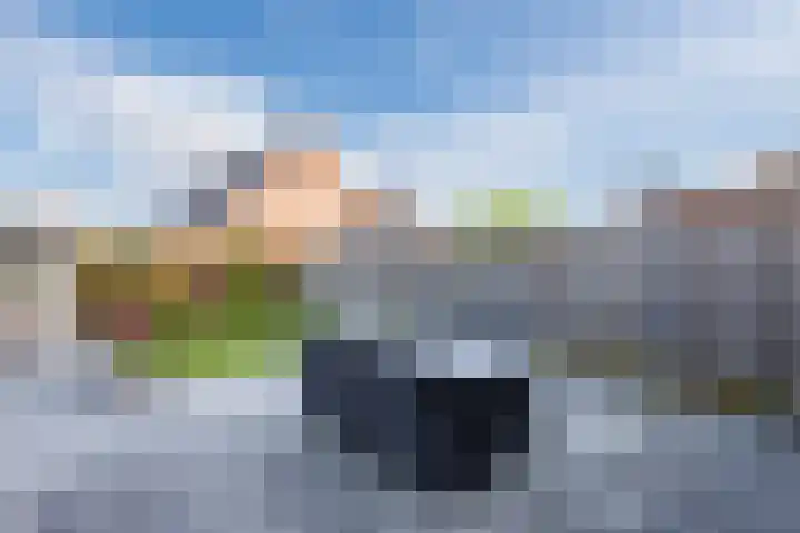 Kraanvogel 8 Terneuzen thumbnail 30