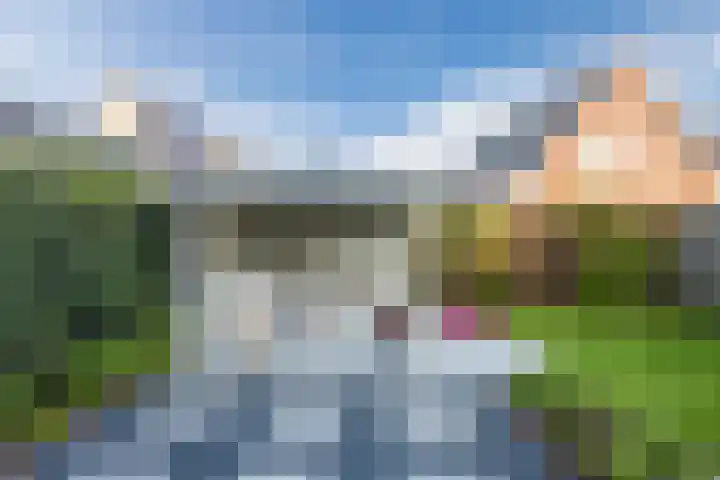 Kraanvogel 8 Terneuzen thumbnail 31