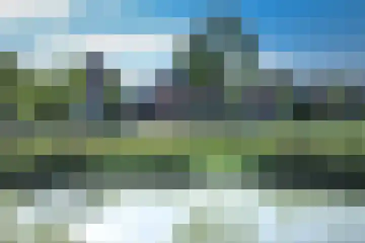 Kraanvogel 8 Terneuzen thumbnail 34