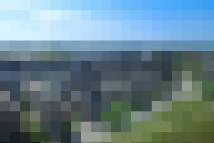 Kraanvogel 8 Terneuzen thumbnail 35