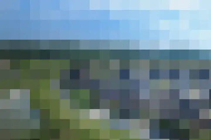 Kraanvogel 8 Terneuzen thumbnail 36