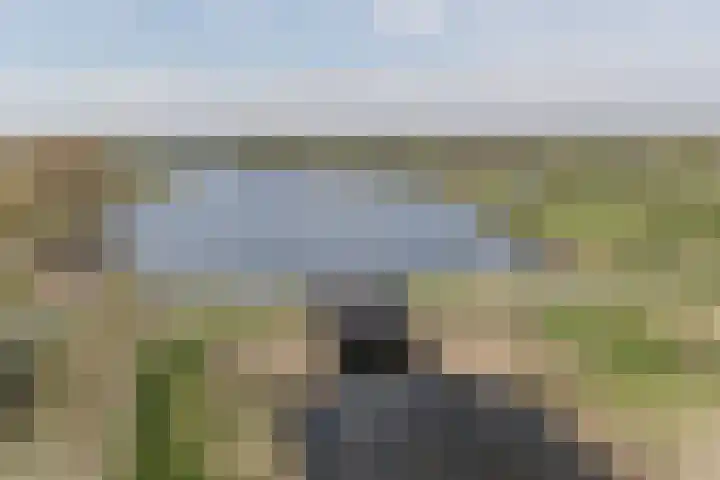 Kraanvogel 8 Terneuzen thumbnail 37