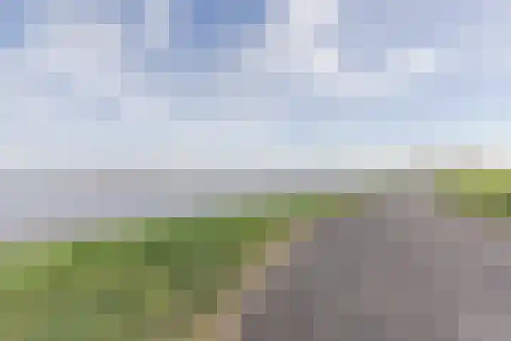 Kraanvogel 8 Terneuzen thumbnail 38