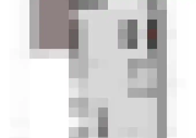 Kraanvogel 8 Terneuzen thumbnail 39