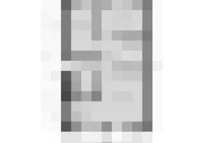 Kraanvogel 8 Terneuzen thumbnail 40