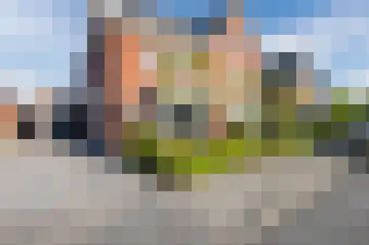 Kraanvogel 8 Terneuzen thumbnail 43