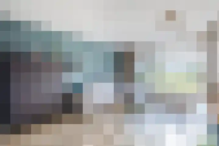 Kraanvogel 8 Terneuzen thumbnail 6