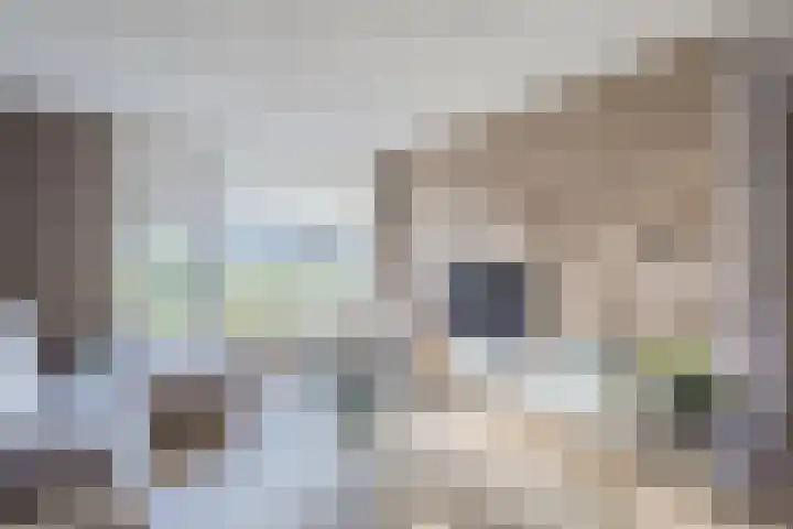 Kraanvogel 8 Terneuzen thumbnail 7