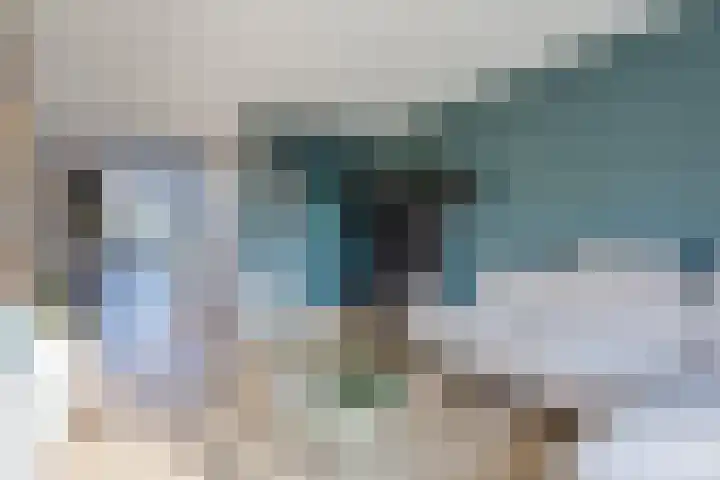 Kraanvogel 8 Terneuzen thumbnail 8