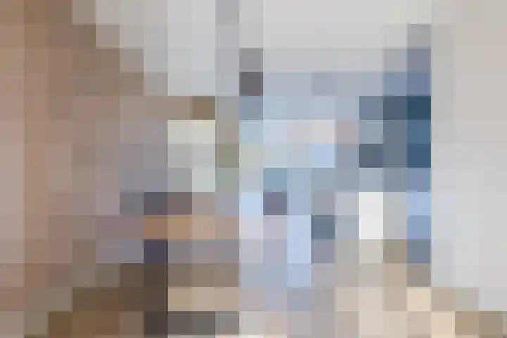 Kraanvogel 8 Terneuzen thumbnail 9