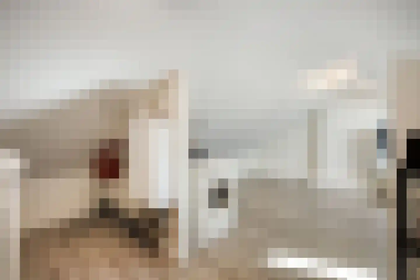 Kraanvogelhof 2 Nuenen thumbnail 21