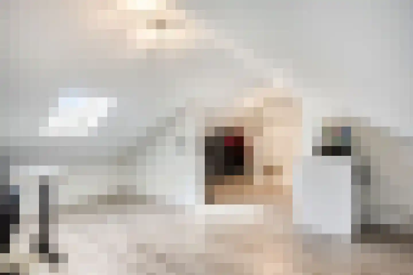 Kraanvogelhof 2 Nuenen thumbnail 23