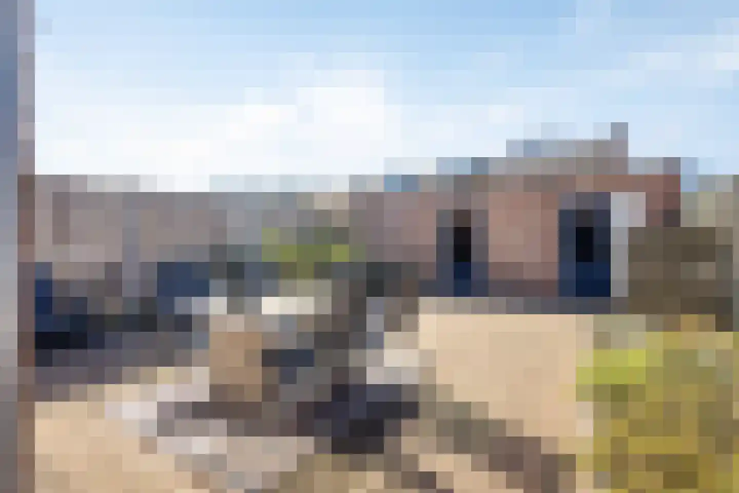 Kraanvogelhof 2 Nuenen thumbnail 24